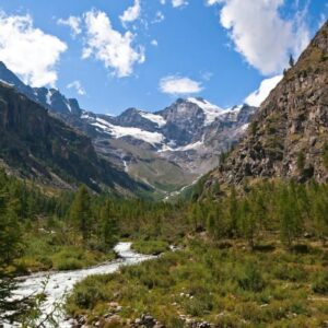 NaturAlp Weekend Into The Wild